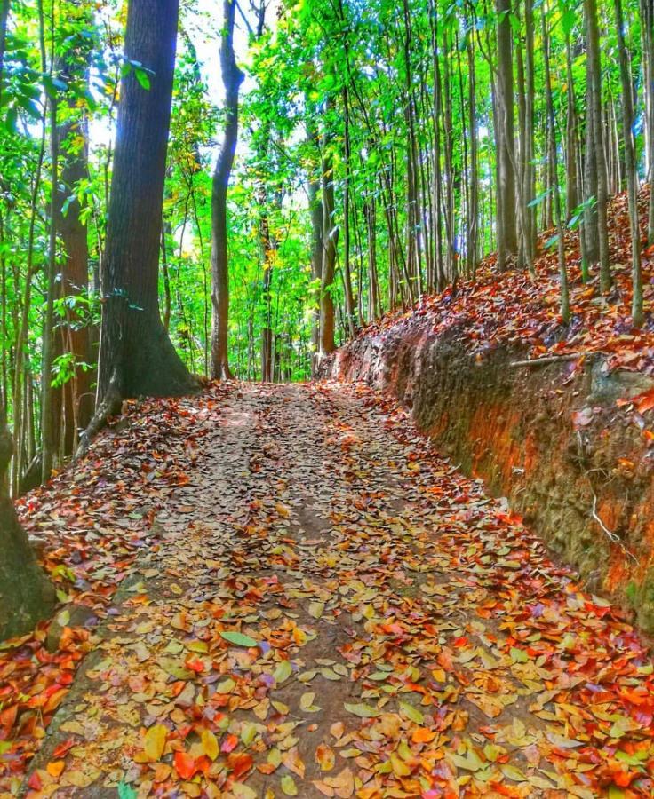 Boo Kirinda Holiday Resort Badulla Esterno foto